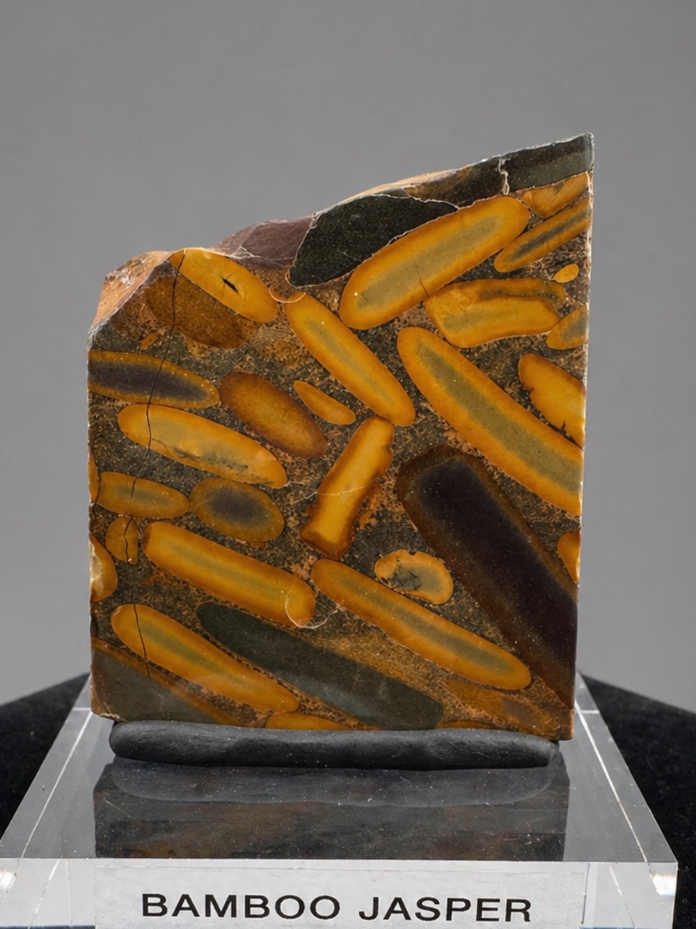 Polished Bamboo Jasper Specimen (Indonesia)